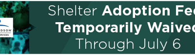 Shelter Adoption Fees Temporarily Waived Through July 6 