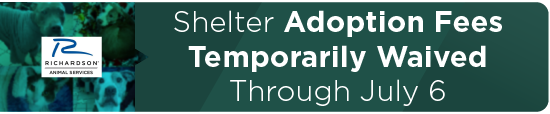 Shelter Adoption Fees Temporarily Waived Through July 6 