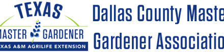 July Gardening To-Do List