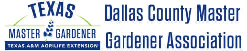 July Gardening To-Do List