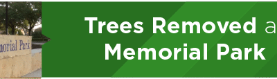 Trees Removed at Memorial Park 