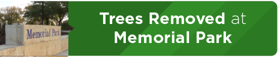 Trees Removed at Memorial Park 