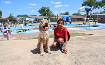 Dog Splash Day Held in Richardson