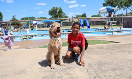 Dog Splash Day Held in Richardson