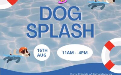 Dog Splash Day is Tomorrow 