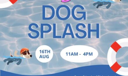 Dog Splash Day is Tomorrow 