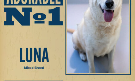 Pet of the Week