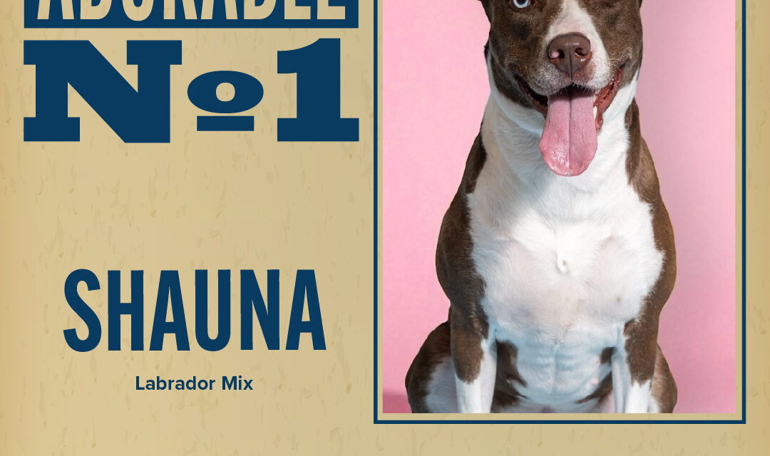 Pet of the Week