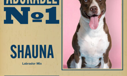 Pet of the Week