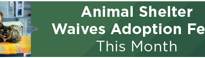 Animal Shelter Waives Adoption Fees This Month 