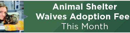 Animal Shelter Waives Adoption Fees This Month 
