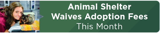 Animal Shelter Waives Adoption Fees This Month 
