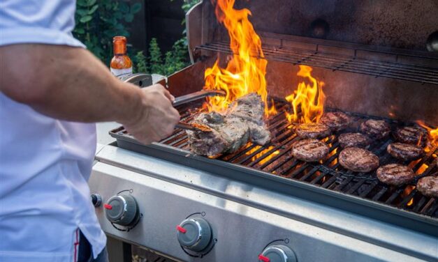 Eco-friendly Grilling, Picnicking Ideas for Labor Day Holiday