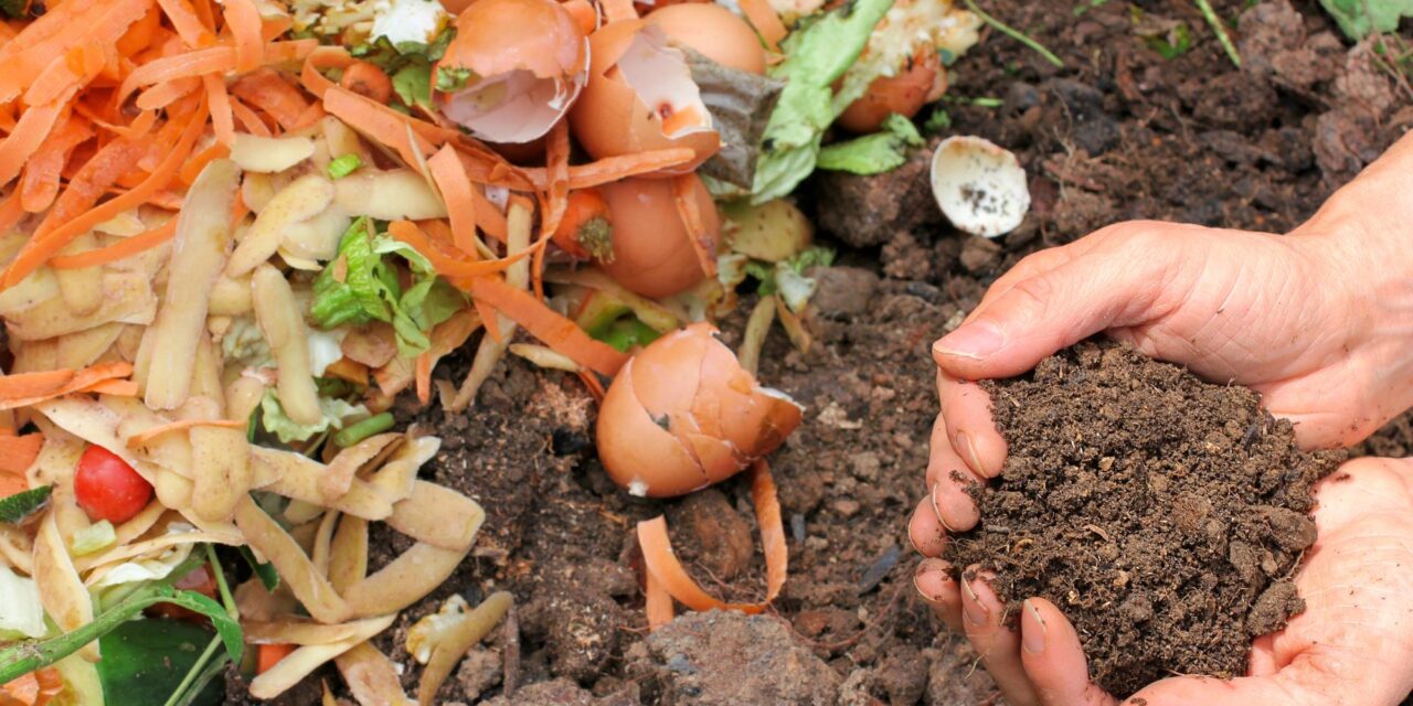 Fall is a Great Time to Try Composting 