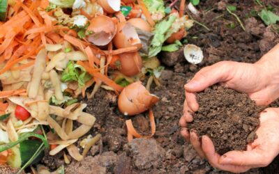 Fall is a Great Time to Try Composting 