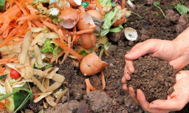 Fall is a Great Time to Try Composting 