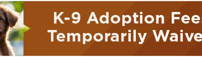 K-9 Adoption Fees Temporarily Waived 