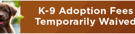 K-9 Adoption Fees Temporarily Waived 