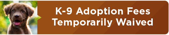 K-9 Adoption Fees Temporarily Waived 