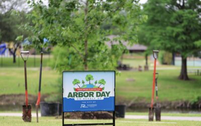 Volunteers Needed for Texas Arbor Day Tree Planting Event 