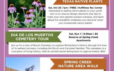 Dia de los Muertos Cemetery Tour Tomorrow 