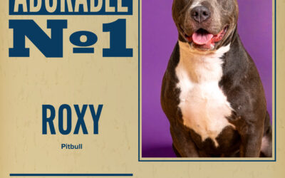 Pet of the Week