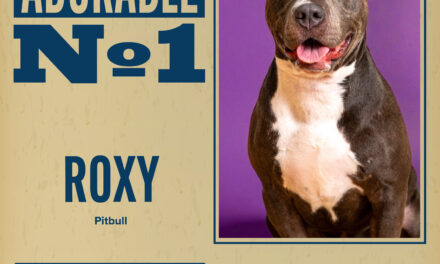 Pet of the Week