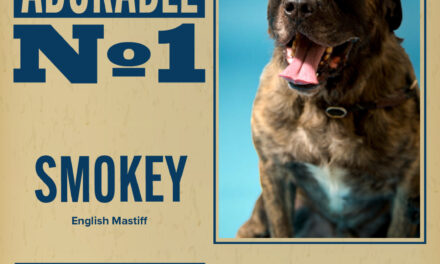 Pet of the Week