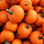 Composting and Other Ways to Reuse Pumpkins 