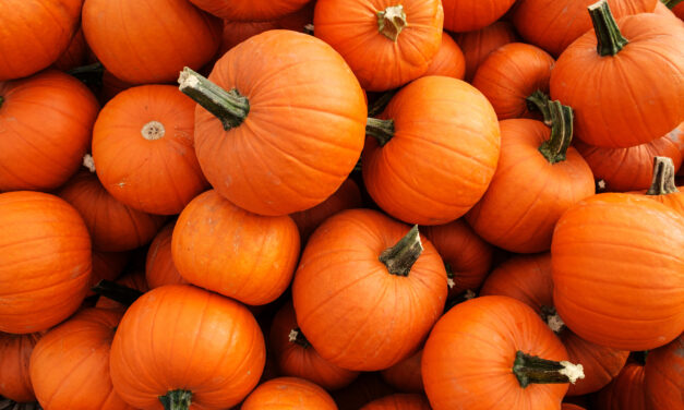 Composting and Other Ways to Reuse Pumpkins 