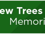 New Trees Planted at Memorial Park 