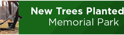 New Trees Planted at Memorial Park 