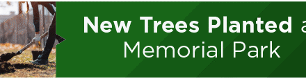 New Trees Planted at Memorial Park 