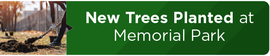 New Trees Planted at Memorial Park 