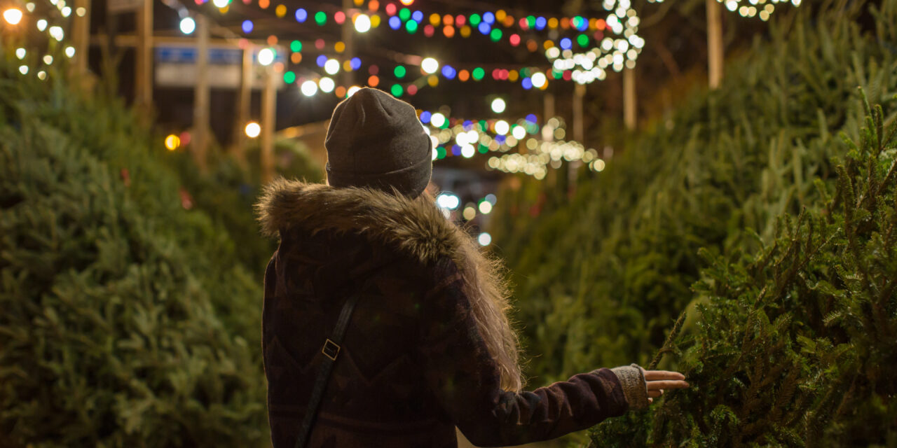 Selecting/Caring for Natural Holiday Trees 