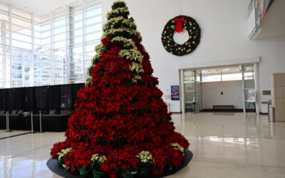 Poinsettia Tree Ready for Photos at Eisemann Center