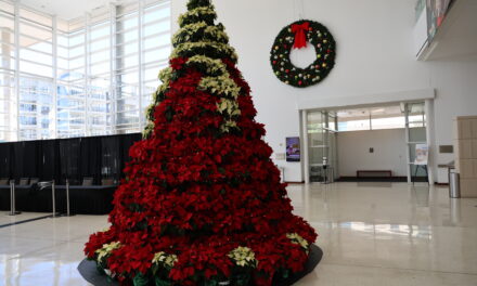Poinsettia Tree Ready for Photos at Eisemann Center 