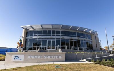 Animal Shelter Offering Free Adoptions, Microchipping Dec. 8-14