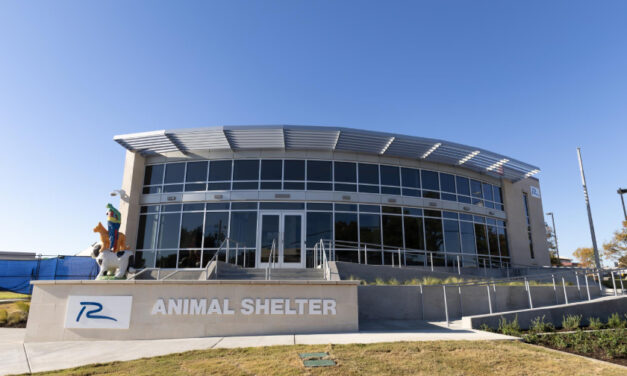 Animal Shelter Offering Free Adoptions, Microchipping Dec. 8-14