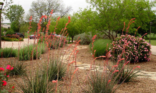 “How to Enrich Your Garden in the Winter” Class Dec. 30