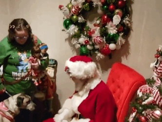 Adaptive Night at Santa’s Village