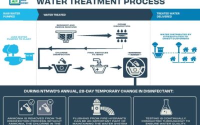 Chlorine Maintenance Underway Through March 30