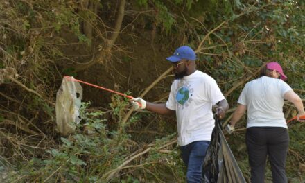Volunteers Needed for Richardson’s Trash Bash