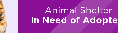 Animal Shelter in Need of Adopters