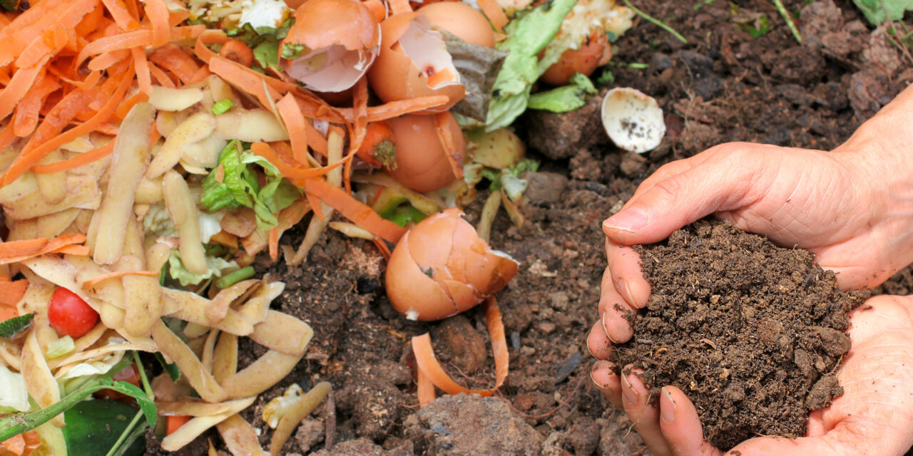 Intro to Composting Workshop Next Friday 