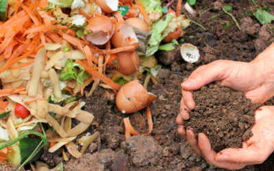 Intro to Composting Workshop Next Friday