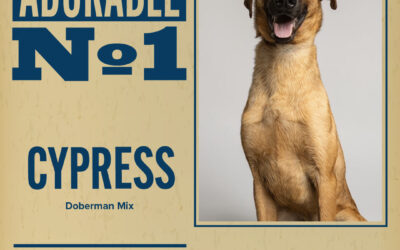 Pet of the Week