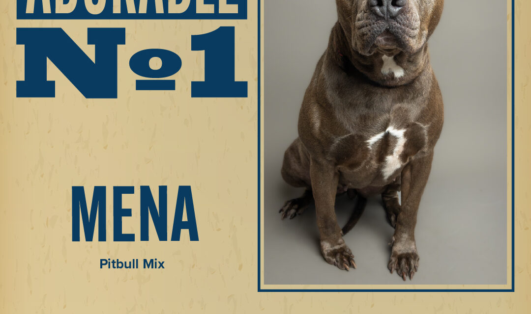 Pet of the Week – Mena