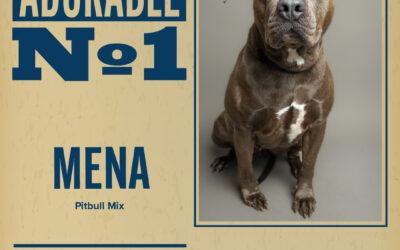 Pet of the Week – Mena