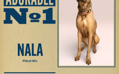 Pet of the Week